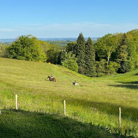 Domaine De Montmery Sa Piscine Son Jardin Ses Espaces Ambazac Eksteriør bilde