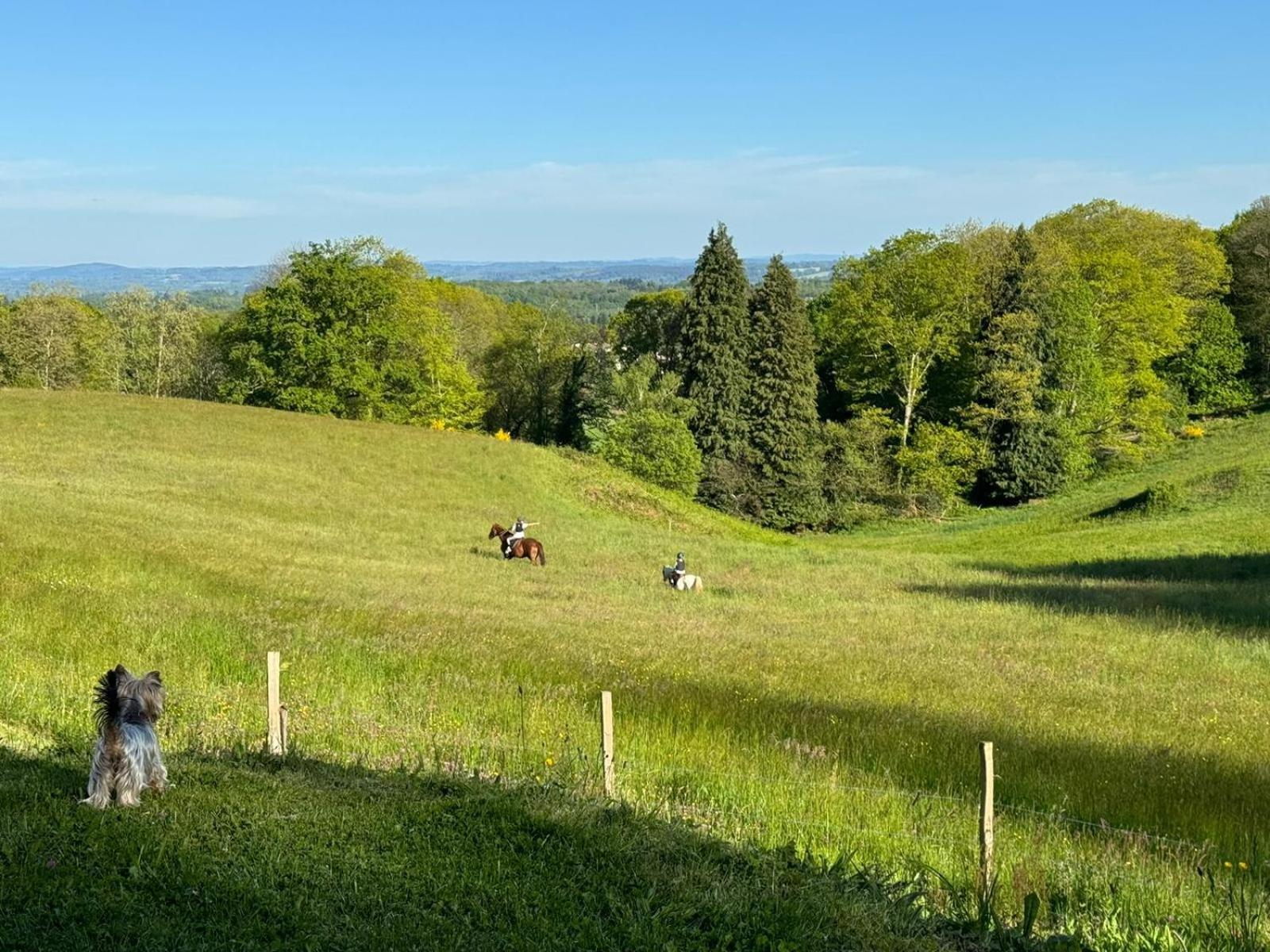 Domaine De Montmery Sa Piscine Son Jardin Ses Espaces Ambazac Eksteriør bilde