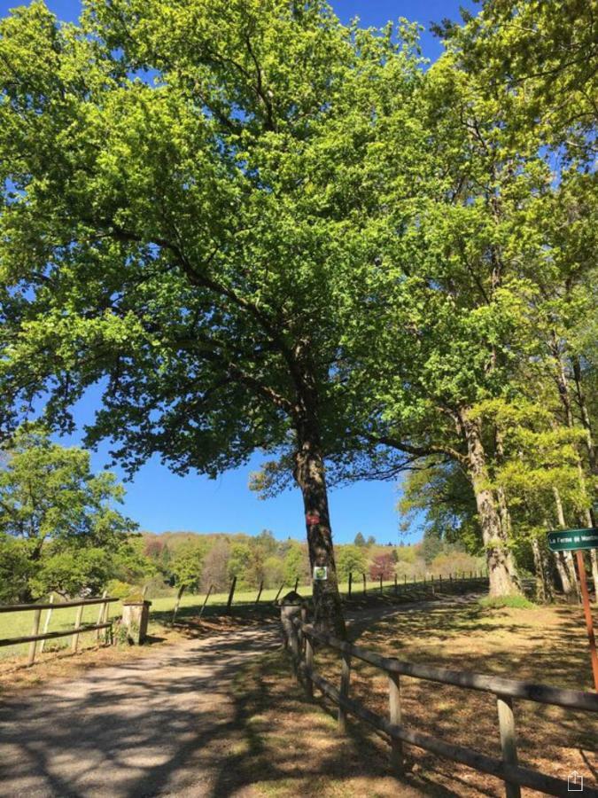 Domaine De Montmery Sa Piscine Son Jardin Ses Espaces Ambazac Eksteriør bilde